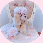 Kayo🧸🌸 - @angels_spoon - Instagram