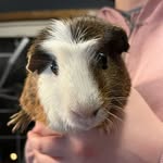 Angel Stokes - @murraysfriend - Instagram