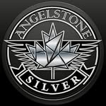 Equine Choice Silver Series - @angelstonesilver_equinechoice - Instagram