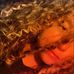 Angel Lovette Taber - Facebook