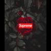 angelterrones01 - @angelterrones01 - TikTok