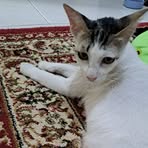 Angel Tom - Facebook
