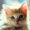 AngelaTucker - @angelatuckerjfjjqh - TikTok