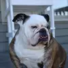 Angel Vannoy - @angel.vannoy - TikTok