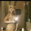 Angel Velarde - @angel.velarde96 - TikTok