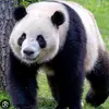 Angel Veras - @angel.veras09 - TikTok