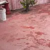 Angel Veras - @angelveras22 - TikTok