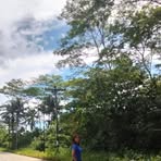 Angela Veras - Facebook