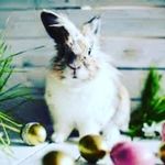 Angel warren - @angelwarren466 - Instagram