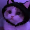 Gatita🥰🙈🫶🏻 - @angelwosjbp - TikTok