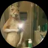 Angel Zelaya 🦘🦘 - @angelzelaya59 - TikTok