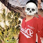 Angel Zermeño - @zermeno2469 - Instagram