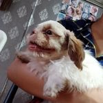 Angela abdon - @angelaabdon33 - Instagram