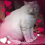 Angela Abdul - @twicevelvetpinkfriend15141615 - Instagram