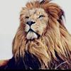 Angela Abner - @angela.abner - TikTok