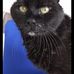 Angela Abramo - Facebook