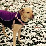 Angela Abramson - @abramson8990 - Instagram
