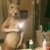 AngelAbreu💫 - @angelabreu.3 - TikTok