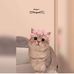 Angel Aletta - Facebook