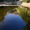 AAS - @angela.acedo1 - TikTok