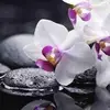 angelaaceti3 - @angelaaceti3 - TikTok