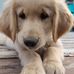 Angela Molyneaux-acker - Facebook