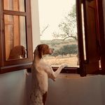 Ângela Afonso - @angie_8.7 - Instagram