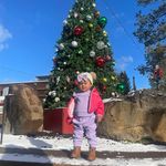 Angela Averill Jaros - @angjaros - Instagram