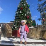 Angela Averill Jaros - Facebook