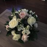 Angela Baird - @baird436 - Instagram