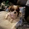 Angel Allen Baisden - @user660661727958 - TikTok