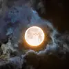 angelabasora - @angelabasora - TikTok
