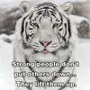 angelabeal678 - @angelabeal678 - TikTok