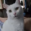 Angela Bianchini - @angela.bianchini5 - TikTok