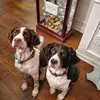 Angela Wade Bloomer - @angela.wade.bloom - TikTok