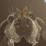Angela Boatwright - @creativeang - Instagram