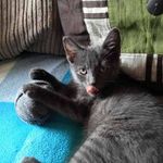 Angela Bothwell - @bothwellangela - Instagram