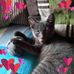 Angela Bothwell - Facebook