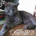 Angela Branson - Facebook