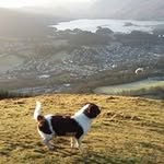 Dawn Angela Branson - @branson.dawn - Instagram