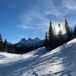 Angela Brightwell - @agbright - Instagram