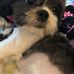Angela Brightwell - Facebook