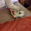 Angela Brindley - @angela.brindley0 - TikTok