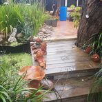 Angela Brindley - Facebook