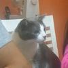 Angel - @angelabuchner0 - TikTok