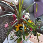 Angela Buchner - Facebook