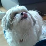 Angela Buchner - @angela.buchner.90 - Instagram