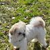 Angela Buchner - Facebook
