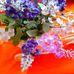 Angela Bunea - Facebook