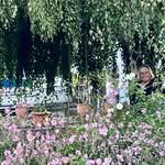 Angela Busch - @literaturgarten - Instagram
